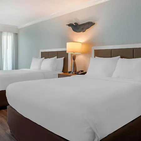 Dolphin Sands Clearwater Beach, Ascend Hotel Collection Exterior photo