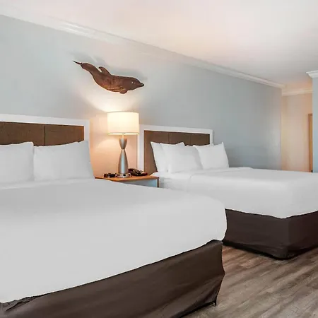 Dolphin Sands Clearwater Beach, Ascend Hotel Collection Exterior photo
